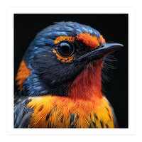 Vibrant Bird With Orange And Blue Plumage (Print Only)