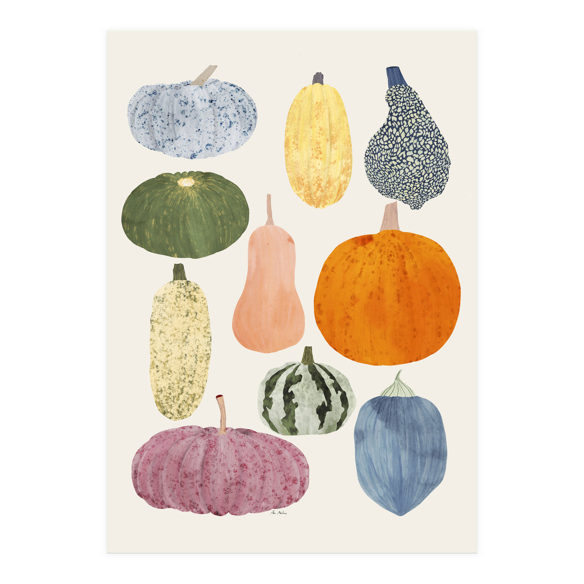 Still Life Of Pumpkins (Print Only)