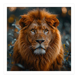 Majestic Lion Portrait Intense Gaze Wildlife (Print Only) thumbnail