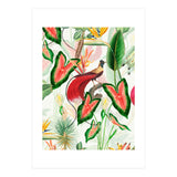 Vintage Bird Of Paradise in Jungle (Print Only) thumbnail