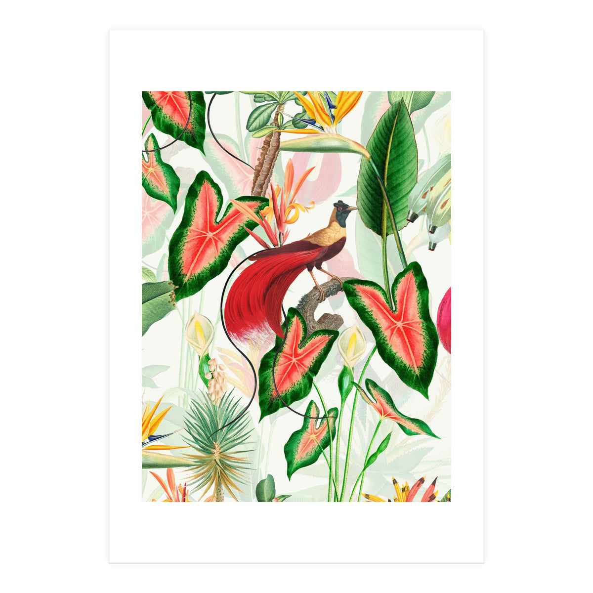 Vintage Bird Of Paradise in Jungle (Print Only)
