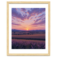 Serene Lavender Fields at Golden Hour Sunset