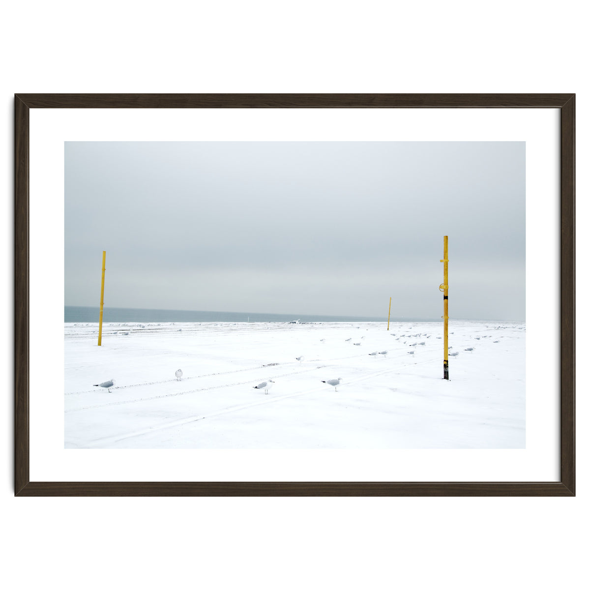 Seagulls in between the volleyball poles in winter snow beach