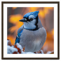Blue Jay Bird In Winter Snowfall And Leaves