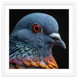 Close Up Of A Pigeon Bird thumbnail