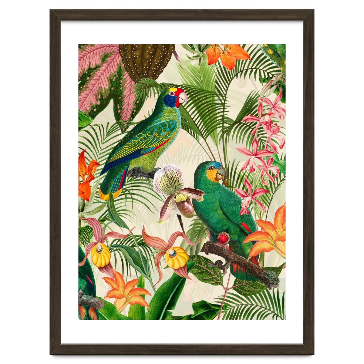 Parrots in tropical Jungle