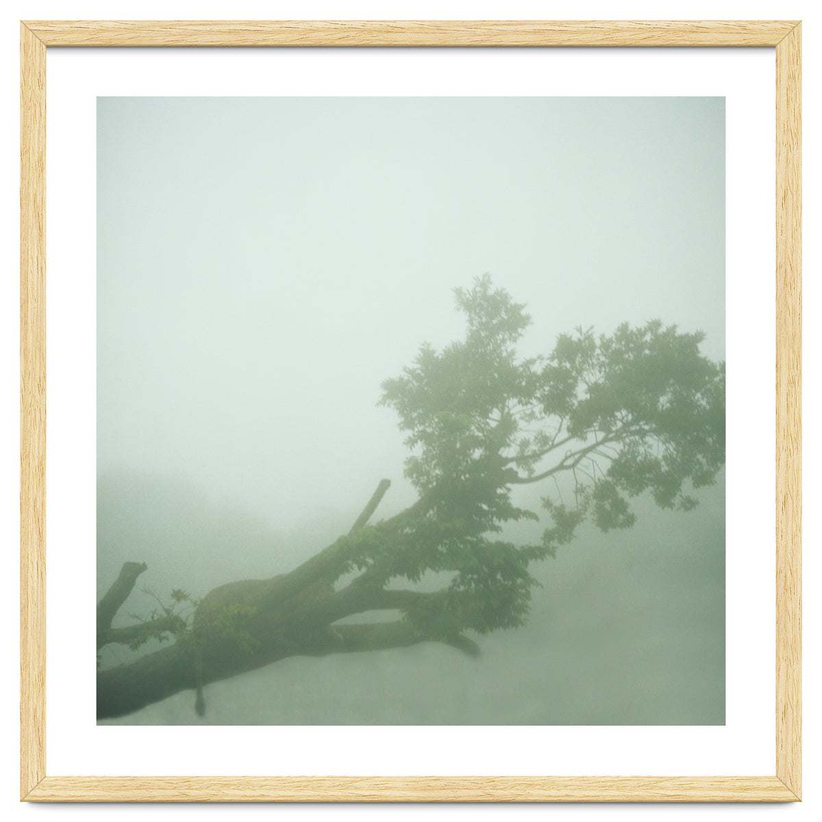 Silence of breath - 07