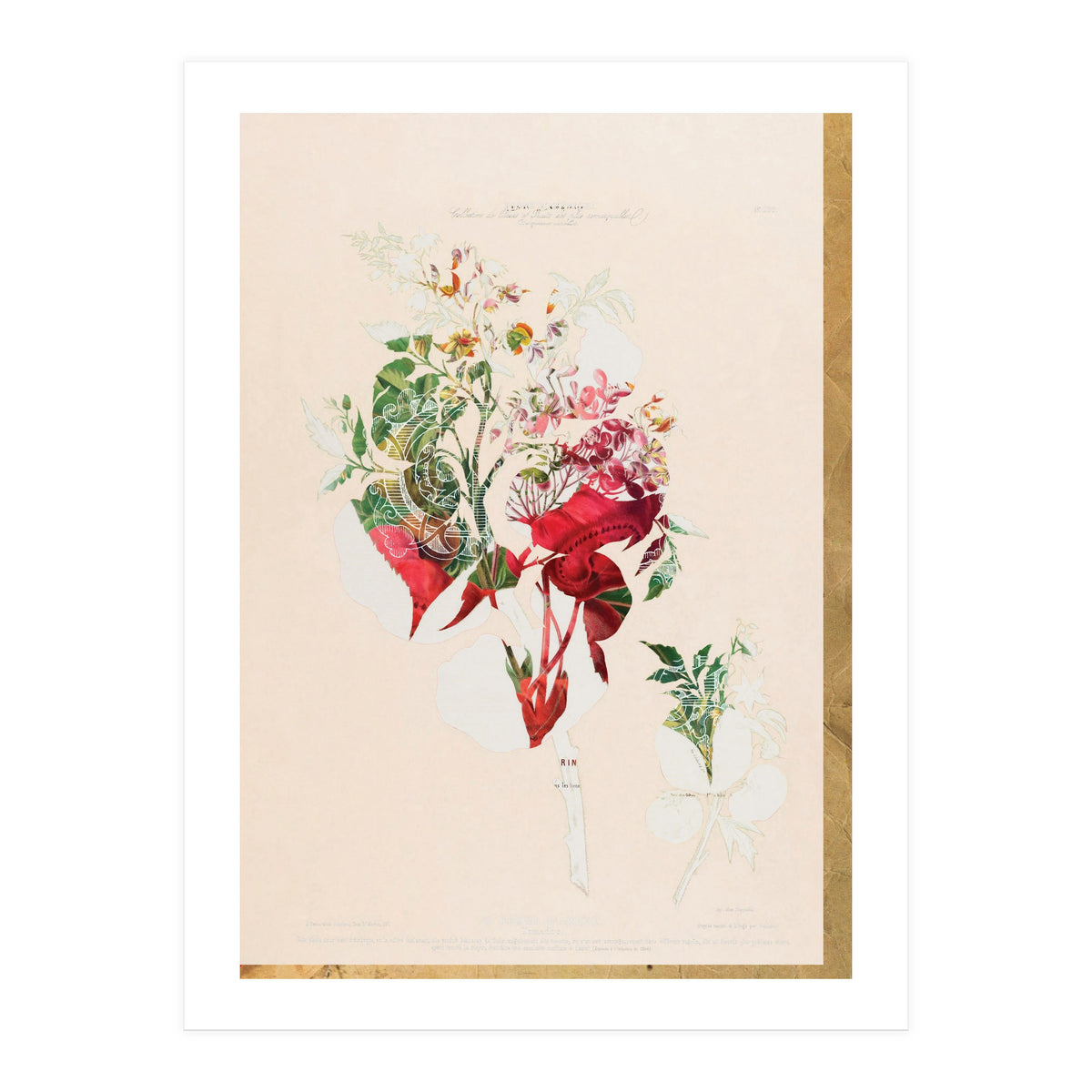 The First Plant · Aufbluehen (Print Only)