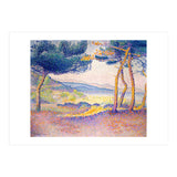 Pines Along the Shore. (Print Only) thumbnail