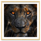 Majestic Lion Face Intense Orange Eyes Close Up thumbnail