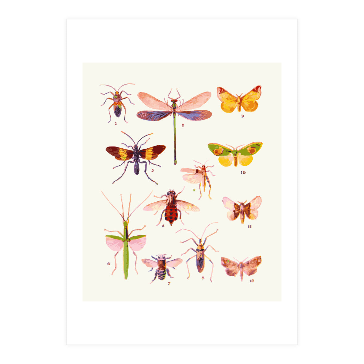 Beautiful Creatures (Print Only)