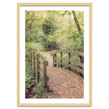 Path To The Bridge thumbnail