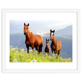 Three Horses thumbnail