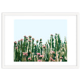 Blush Cactus #society6 #decor #buyart thumbnail