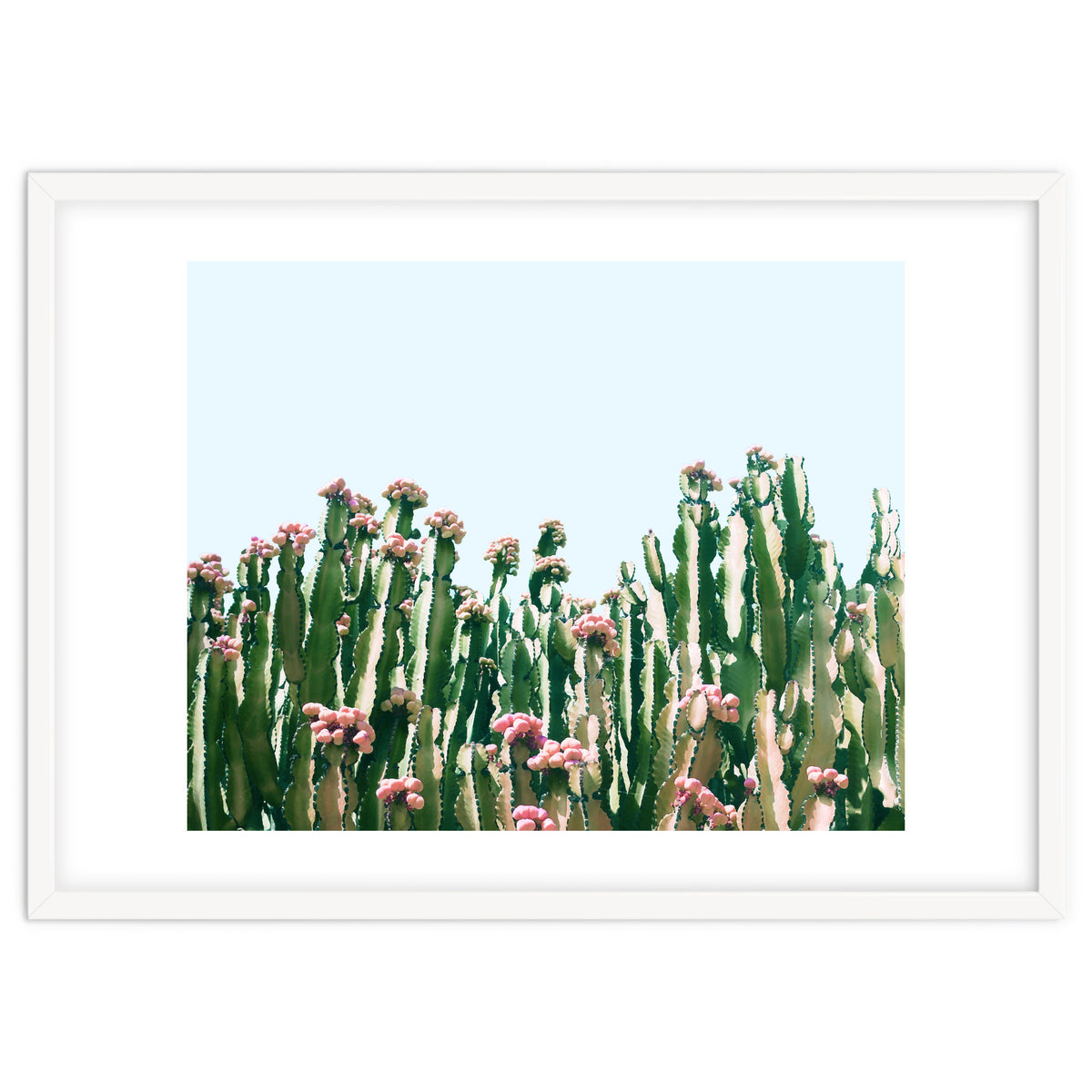 Blush Cactus #society6 #decor #buyart