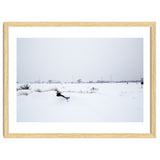 Drinking fountain covered with snow thumbnail