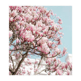 Spring Time (Print Only) thumbnail