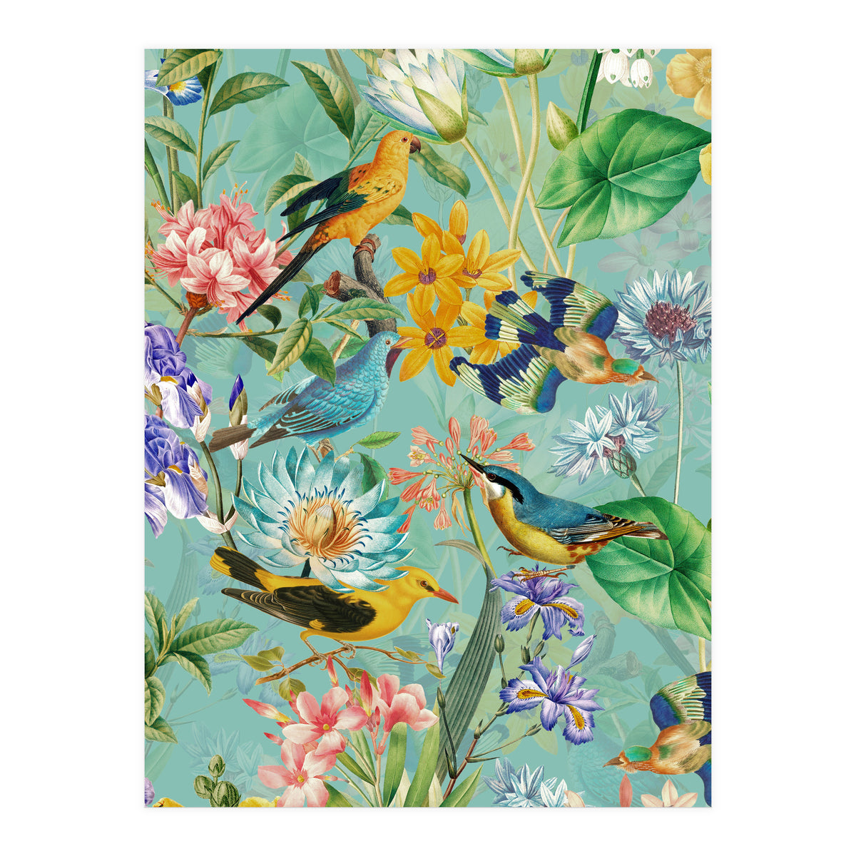 Birds In Tropical Jungle  (Print Only)