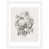 Currier & Ives – Rose of May (1870) thumbnail