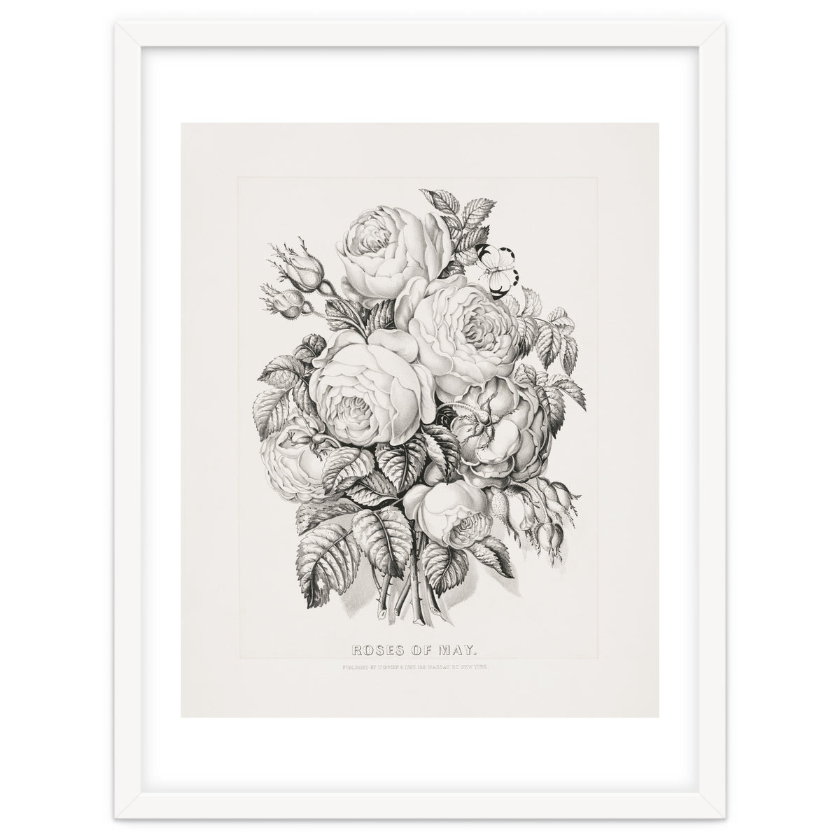 Currier & Ives – Rose of May (1870)