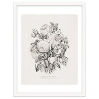 Currier & Ives – Rose of May (1870)