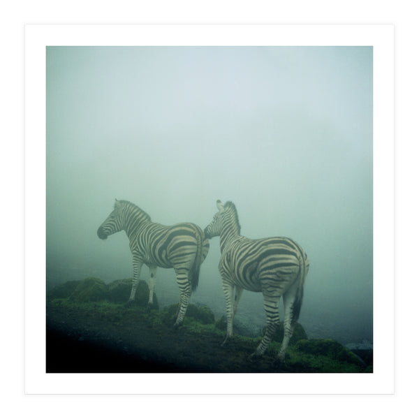 Silence of breath - 14 (Print Only)