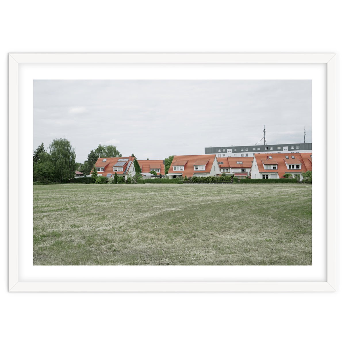 Red roof houses in the green field