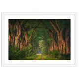 Soft morning light thumbnail