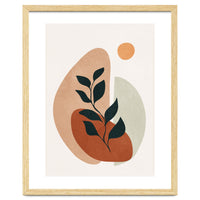 Soft Shapes II