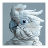 White Cockatoo Bird Portrait Close Up (Print Only) thumbnail