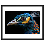 Close Up Of A Peacock Bird Head Eye thumbnail