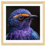 Close Up Portrait Of A Vibrant Exotic Bird thumbnail