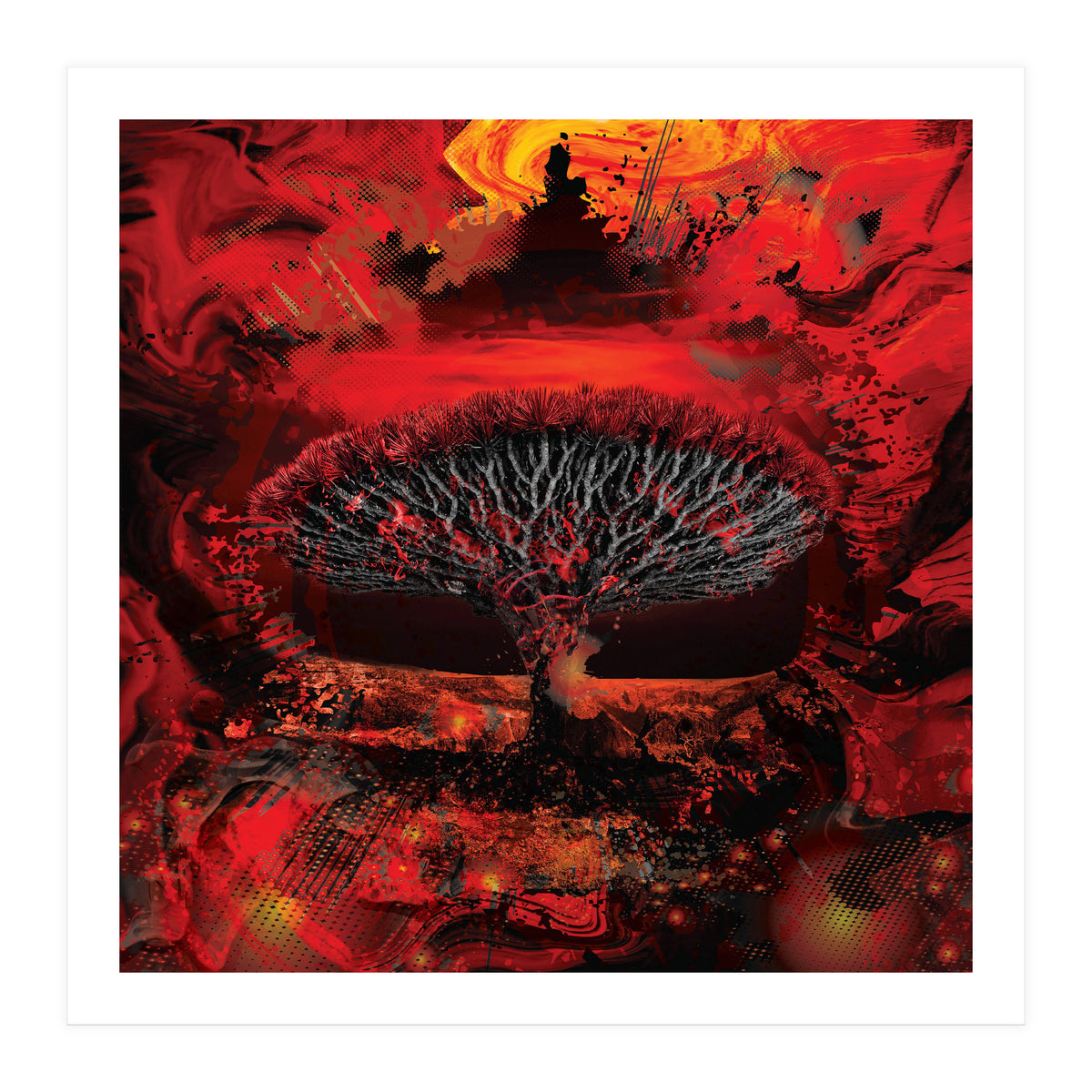 Socotra Dragon Blood tree (Print Only)