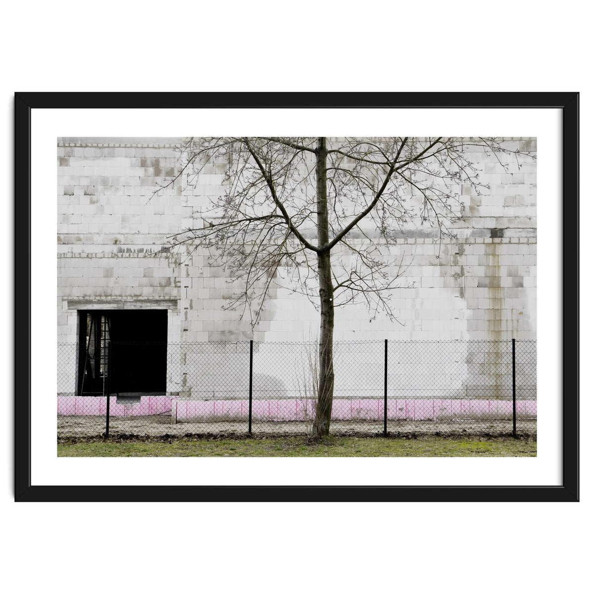 A tree in front of the wall