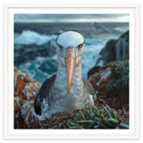 Black Browed Albatross Perched On Nest Near Ocean thumbnail