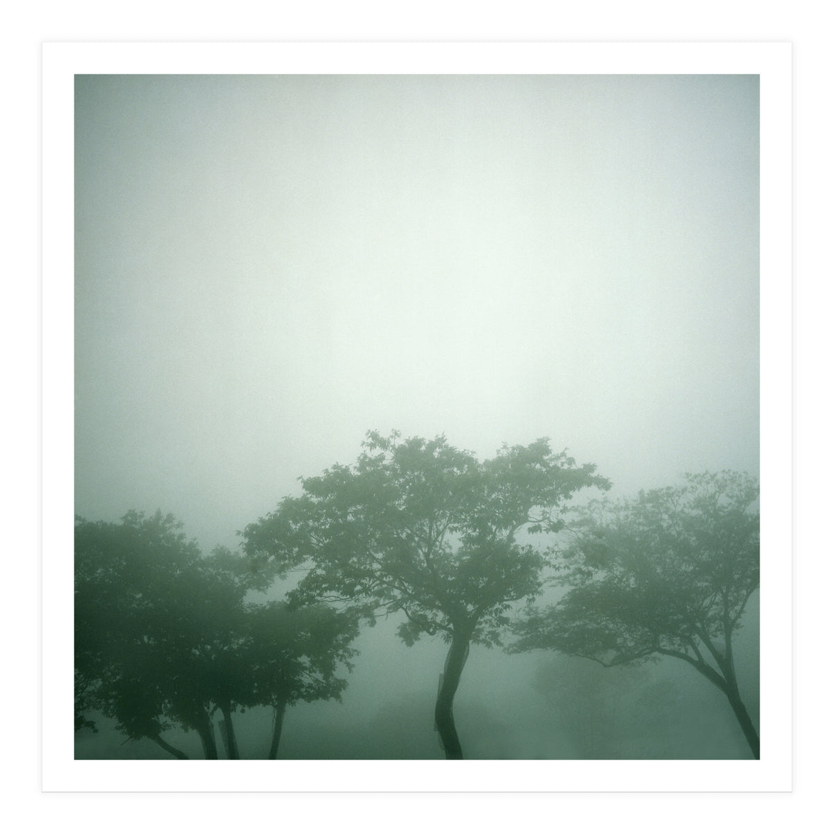 Silence of breath - 17 (Print Only)