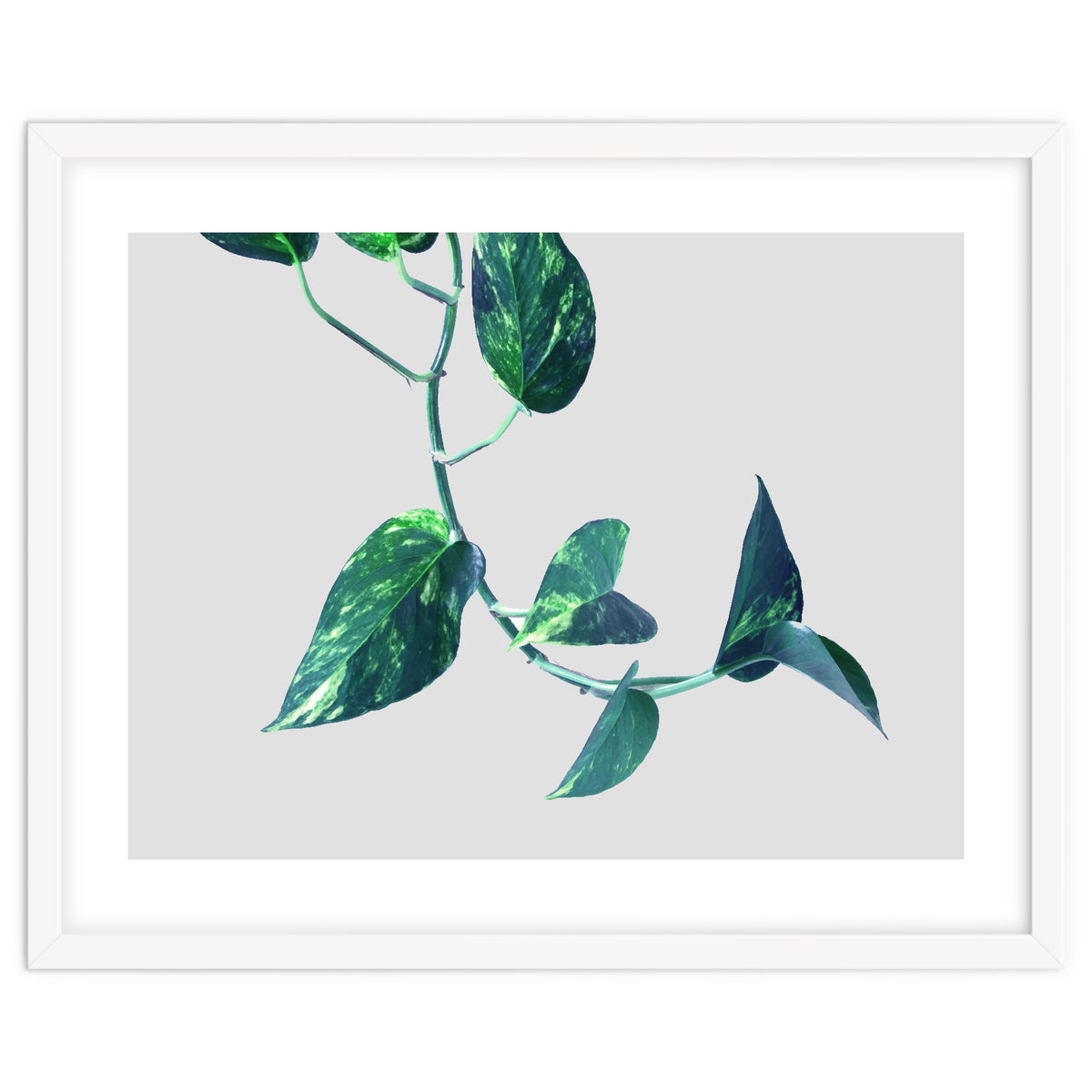 Projection & Emotion