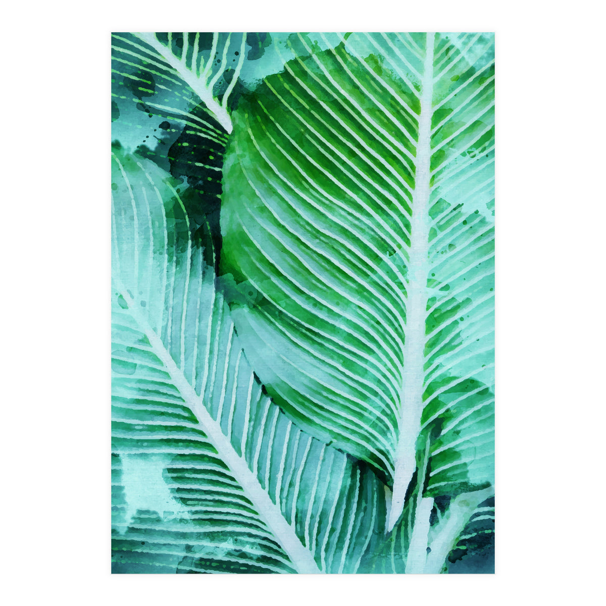 Rearranged Beauty (Print Only)