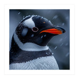 Close Up Penguin Portrait In Snowy Weather (Print Only) thumbnail