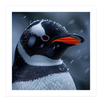 Close Up Penguin Portrait In Snowy Weather (Print Only)