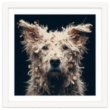 Old Dog 06 thumbnail