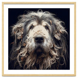 Old Dog 010 thumbnail