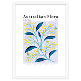 Australian Flora: Golden Wattle thumbnail