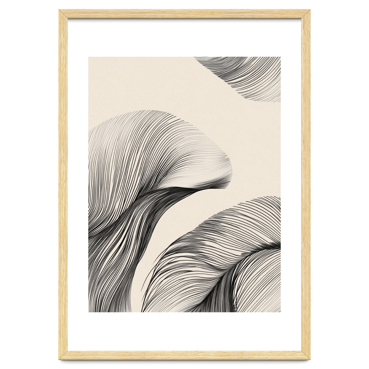 Black And White Flowing Lines Organic Shapes