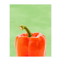 Red Bell Pepper, Fresh Kitchen Art, Capsicum Chilli (Print Only)