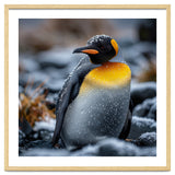 King Penguin In Snow With Water Droplets thumbnail