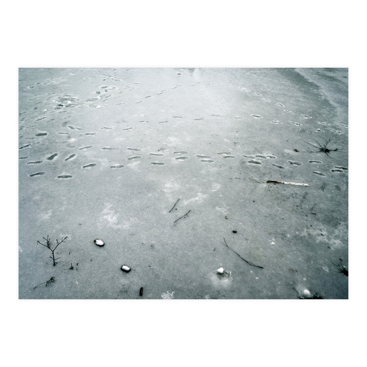 Frozen ice pond (Print Only)