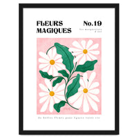 Magical Flowers No.19 Summer Daisies