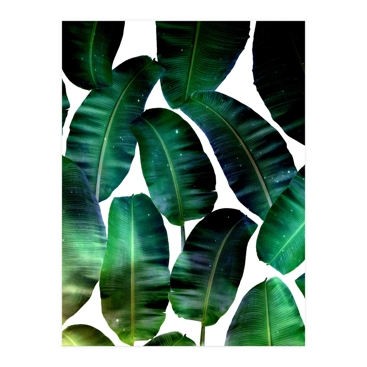 Cosmic Banana Leaves (Print Only)
