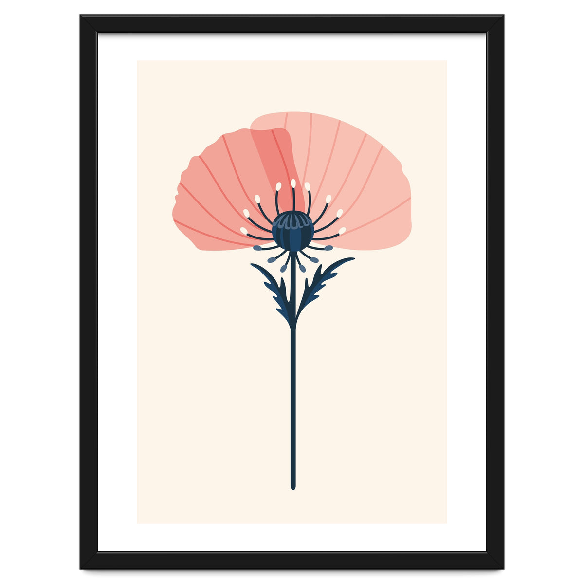 Pink Half Poppy